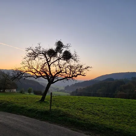 Bed & Breakfast Gaestehaus Rehm Prinzbach
