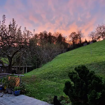 Gaestehaus Rehm 3* Prinzbach