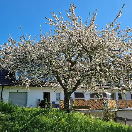 Gaestehaus Rehm Bed and breakfast Prinzbach