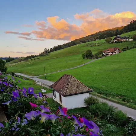 Gaestehaus Rehm Bed and breakfast Prinzbach